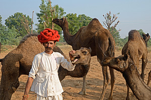 Alternatives Fest f�r die Kamelnomaden