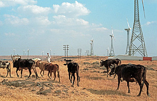 Gr�ne Energien befl�geln das indische Wirtschaftswunder